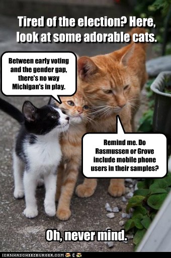 Cats Talking One Slaps Other Cats Talking One Slaps Other